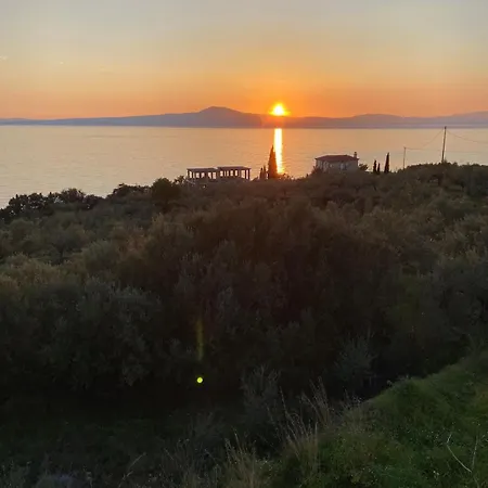 Orea Elena-mani-kalamata Verga Kalamata