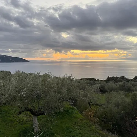 Orea Elena-mani-kalamata *