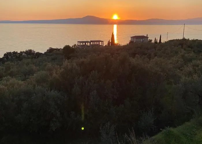 Orea Elena-mani-kalamata Verga Kalamata